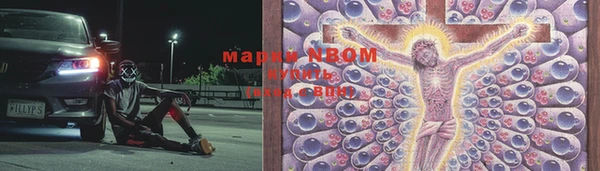 прущие крисы Каменка