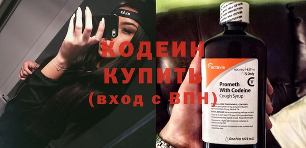 прущие крисы Каменка