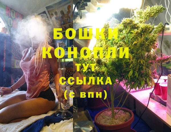 прущие крисы Каменка