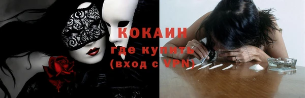 прущие крисы Каменка