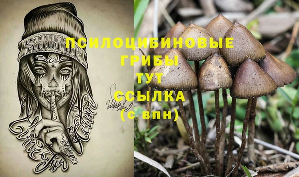 прущие крисы Каменка